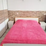 Apartman Designer 1 Bedroom White Tree 2 Minutes To The In The Center, Puerto De La Cruz, Tenerife *